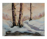 Birch Trees