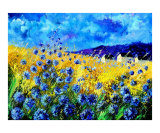Blue cornflowers 68