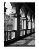 Doges Arches