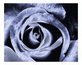 C 113 Solarized Deep Blue