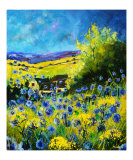 blue corn flowers in ver village ardennes