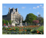 The Louvre in Spring