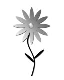 Digital Art Flower In Black And White