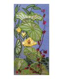 Exotic Motif