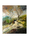 Path in Harroy