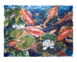 Koi(a)