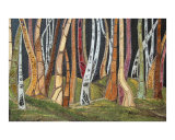 The Other Colors of the Forest