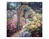 Arch of Roses
