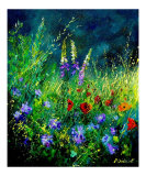 Wild flowers