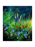 Wild flowers
