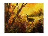 hind