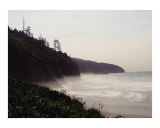 Misty Cove