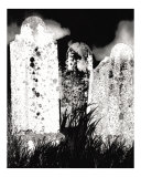 The Graveyard