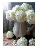 Old Time Flowers