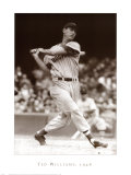Ted Williams  1946