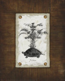 Vintage Home and Garden II