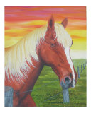 Horse at the fence