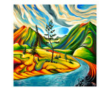Tokumm Creek by the fire of 2003 Kootenay