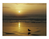 Solitude