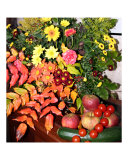 Mixed Flowers
