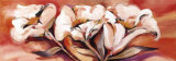Summer Splendor I