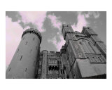 The Castle