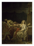 La Douleur D'Andromaque