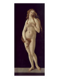 Venus Pudica
