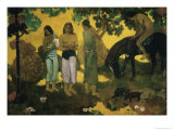 Harvest of Fruit