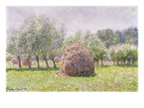 Haystack