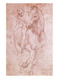 Horse and Rider