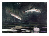 Leaping Trout