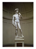 David
