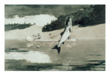 Flying Fish on Lake John