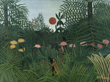 Foret Vierge au Soleil Couchant