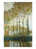 Poplars on the Epte