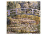 The Water Lily Pond