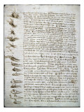 Codex Leicester: Water Flow