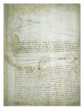 Codex Leicester: The Changing Earth