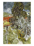 Dr Paul Gachet's Garden at Auvers-Sur-Oise  c1890