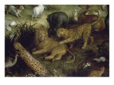 The  Detail Land of Paradise