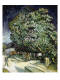 Chestnut Trees in Blossom