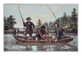 Catching a Trout