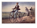 The (Bicycle) Velocipede