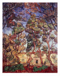 Trees in the Garden of Saint-Paul Hospital