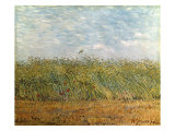 Wheat Field with a Lark