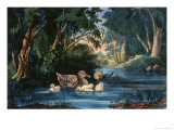The Pond in the Woods