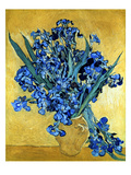 Vase of Irises Against a Yellow Background  c1890