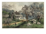 American Homestead Spring