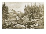 Gold Mining in California